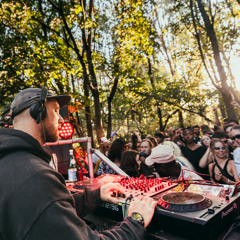 Aidan Doherty - WUITW Aug 2025 (sunrise closing 06.30 - 08.00) in the woods