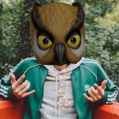 sunday funday vanossgaming babytron mix