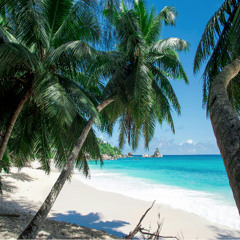 Fyze - Tropical [Pre-Release - Out 21st of November on Spotify (if everything goes right this time)]