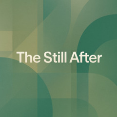 The Still After EP
