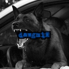 Dawg Mix 4