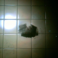 Молодой русский (Яма Нора Remix)