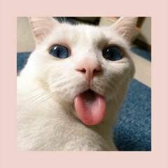 Ngày Tận Thế | CHARLES HUYNH |