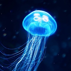 Fireflies w luvange1 & dxsh