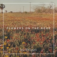 Flowers On The Road