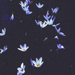 फ़ास्ट लाइफ