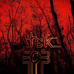 Atek 303 - Révolution