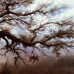 omw (prod. sorrow bringer)