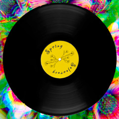 Spring Sojourney (DnB & Breakbeat Mix)