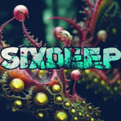 SIXDEEP - THIS SALAD IS BAD