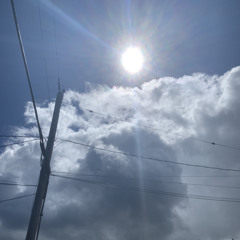 Among The Suns