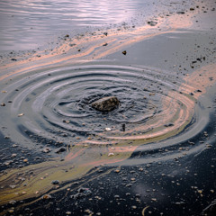 RIPPLES
