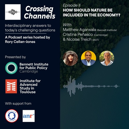 What is nature's role in the economy?