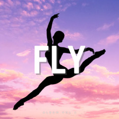 Fly
