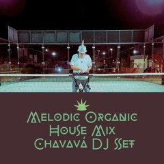 Melodic Organic House Mix - Chavavá DJ Set