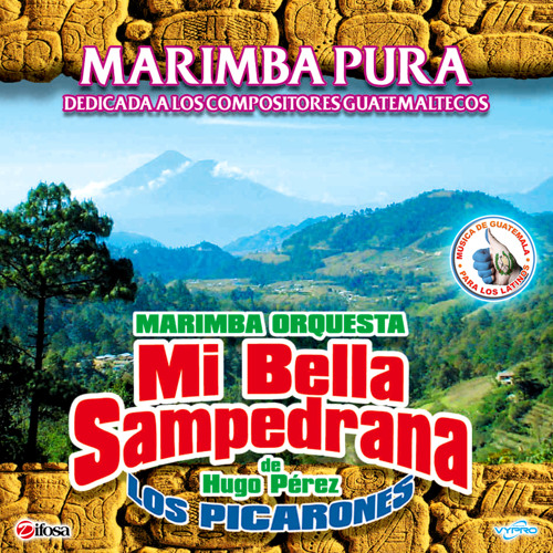 Stream Olvido Pasional by Marimba Orquesta Mi Bella Sampedrana Listen online for free on