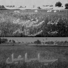حبيت بلدى - سيد اسماعيل