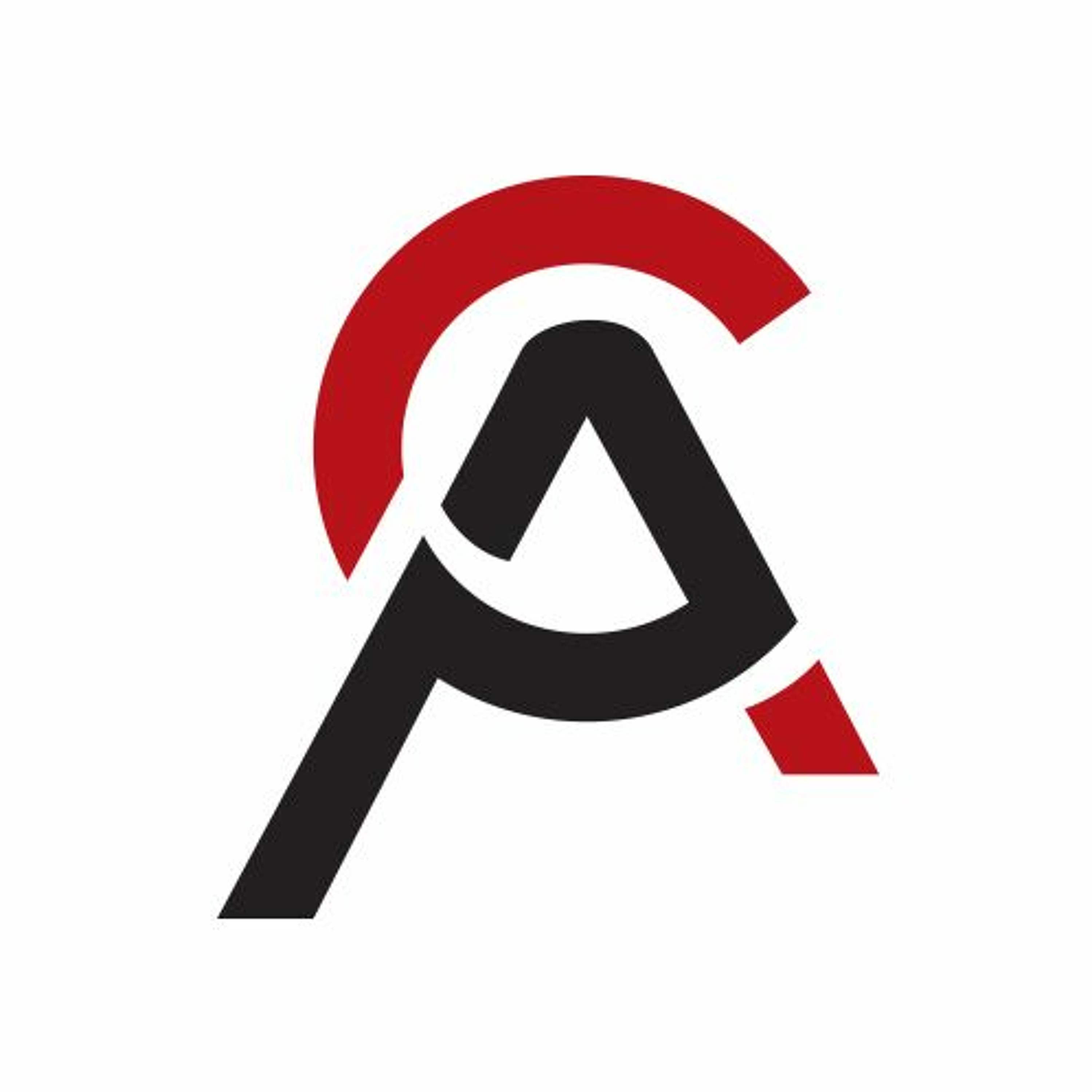 The China Africa Project