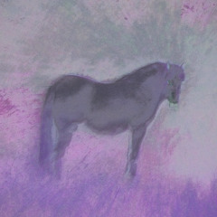 My Lil Pony