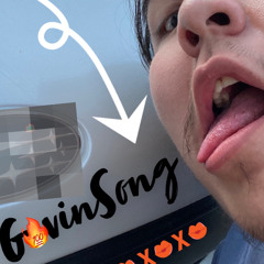 Gavin’s Song