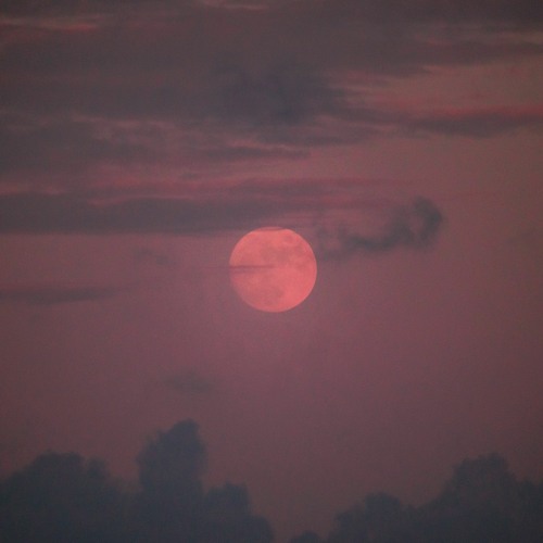 Sofflee - Night Changes