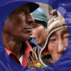 Beyond the Noise: The Bolivian Coup and Western Complicity