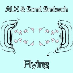 Scnd Sndwch & SKAPA - Flying