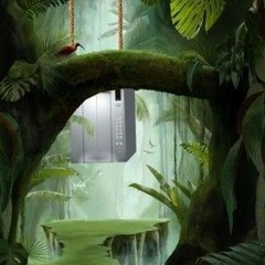 The Jungle Elevator