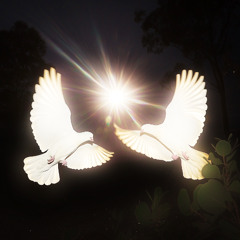 a journey to inner peace
