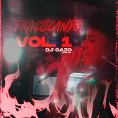 Practicando Vol.1