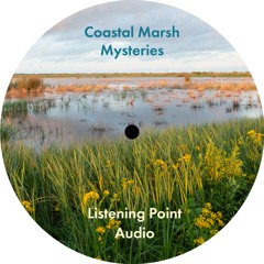 Listening Point Audio - Coastal Marsh Mysteries