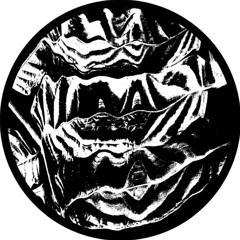 Beau Didier - Greger [SP008 | Premiere]