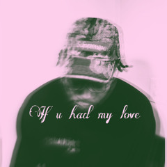 If U Had My Love