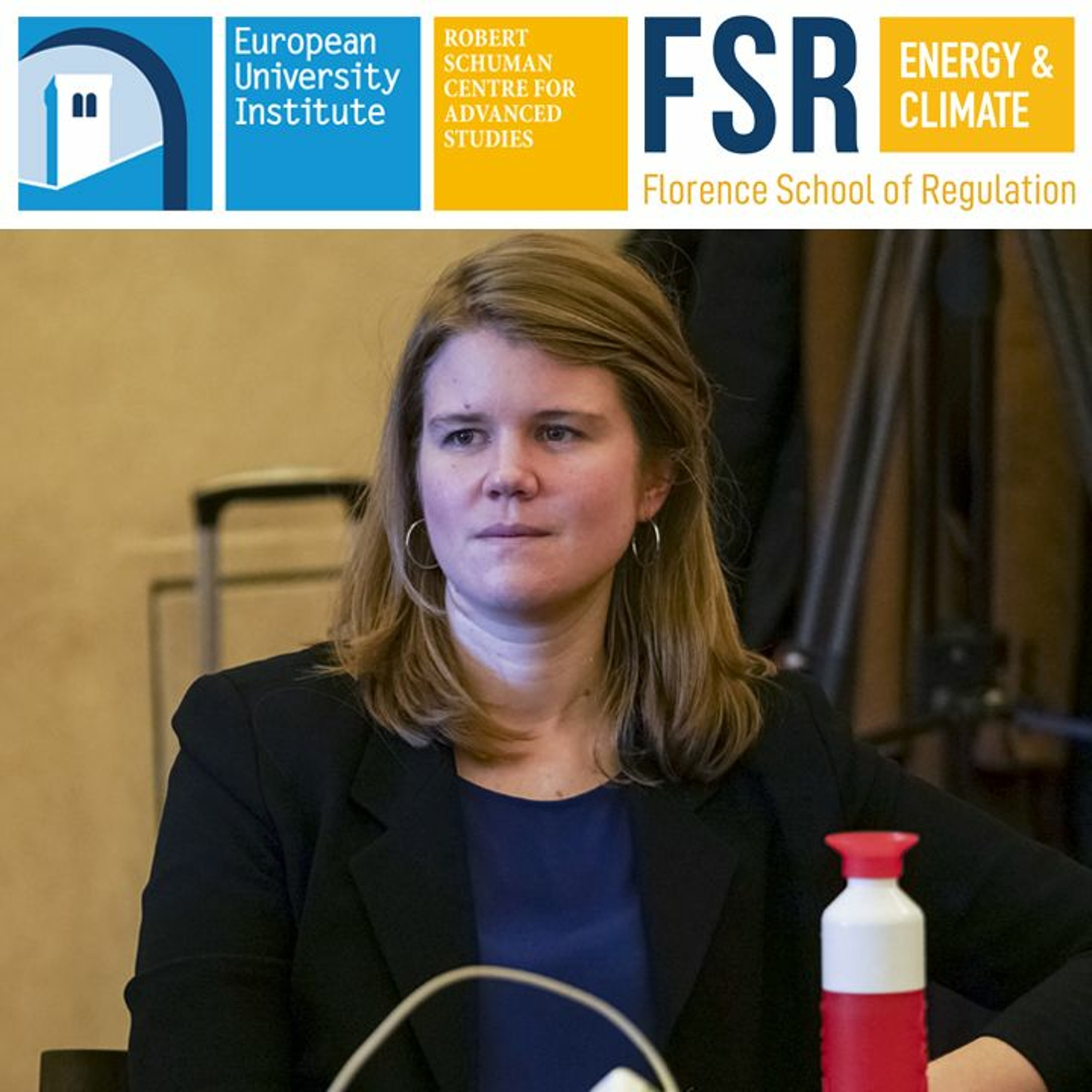 A global observatory on new energy models | Alexandra Schneiders (University College London) episode artwork