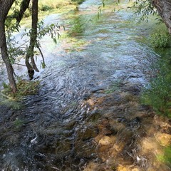 IM MIA TAYLOR (DARK TRILL)