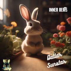 Dallar Sunstar - Inner Beats (Mr Silky's LoFi Beats)