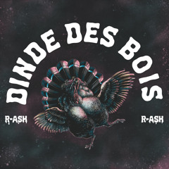 R-ASH - Dinde Des Bois