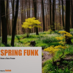 Spring Funk - Promo Mix 2025
