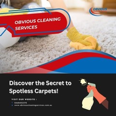 Refresh Your SpaceProfessional Carpet Cleaning Services
