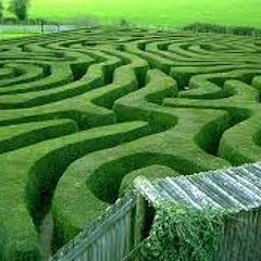 MAZE