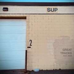 Great Tracks from 2022 (Mega Mix)