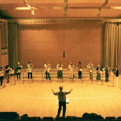 DIVERTIMENTO for 20 violas