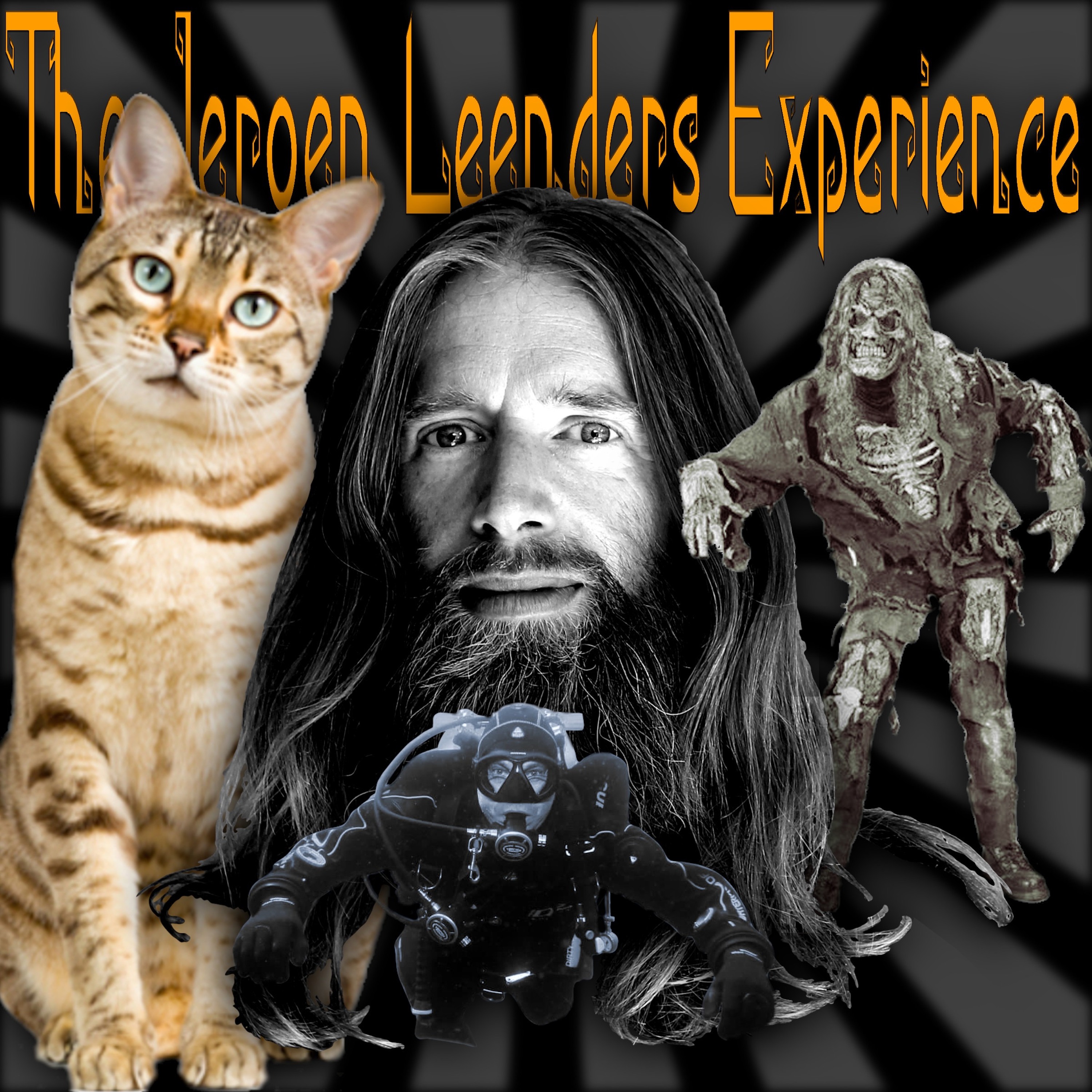 Jeroen Leenders Experience
