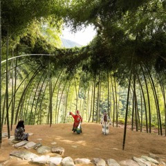 Tom Larsson - Human + Nature