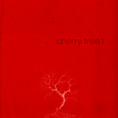cherry tree 1