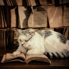 The Antiquarian's Cat