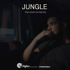Jungle (Vibe Conductor Late Night Rub)