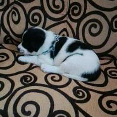 chyba mnie rozjebalo