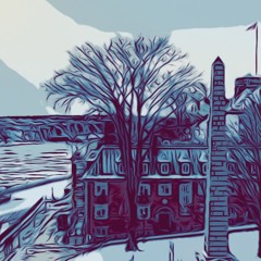 Snowy Day