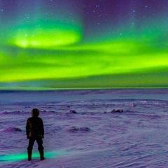 Arctic live (Ultra music)